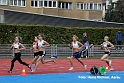 Z514 mg_final